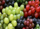 不同颜色的葡萄功效大不同 看看各类葡萄的功效吧