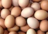吃鸡蛋有哪些常见的误区