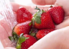 鲜草莓有哪些作用 鲜草莓能帮你养胃吗