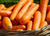 胡萝卜的营养功效 多吃胡萝卜的好处