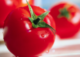 如何搭配食用番茄更营养