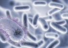 细菌性前列腺炎如何治疗 细菌性前列腺炎的根治方法