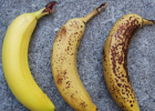 香蕉的食疗作用 吃香蕉要注意什么