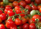 樱桃番茄有哪些功效 樱桃番茄的美容作用