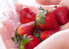 鲜草莓有助于醒酒 你知道吗