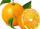 柑橘都包括哪些 柑橘家族成员的各种功效