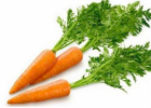 吃胡萝卜有哪些禁忌 胡萝卜不能和什么一起吃呢