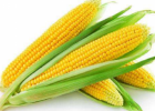 食用玉米有哪些好处 预防心血管疾病