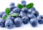 哪些人不适合吃蓝莓 食用蓝莓的禁忌