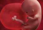 胎儿在妈妈肚子里无法有什么变化