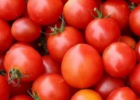 西红柿的功效功效作用 西红柿如何保存