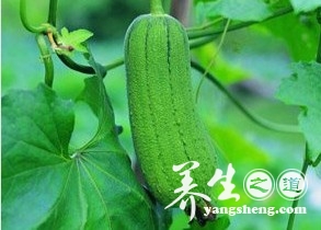 越洗越脏 盘点7种最差的清洁习惯