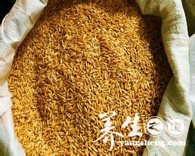老年人便秘怎么调理