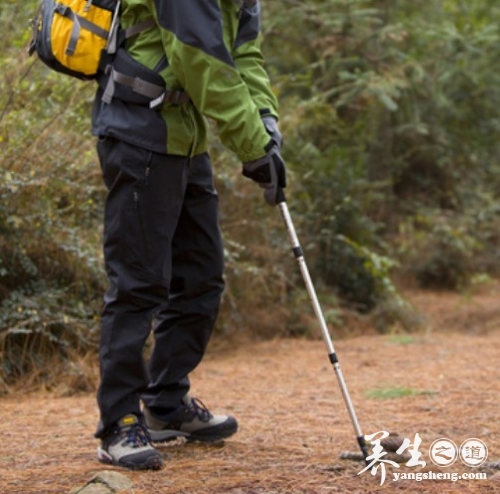 慢走常做6件事 健康又有趣