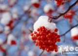 了解大寒的习俗 大寒养生吃什么好
