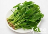 菠菜不能和什么一起吃 小菠菜大禁忌