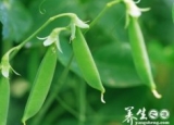 女人节 10种蔬菜吃出白嫩肌