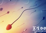 男性常驾驶精子受损 如何补精强肾