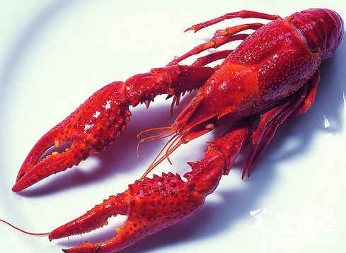 龙虾的营养价值和食疗功效 吃龙虾有什么饮食禁忌