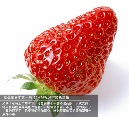 草莓春季第一果 如何分辨染色草莓(1)