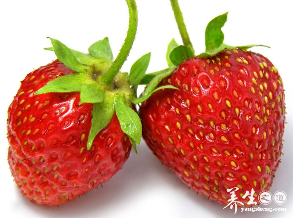 草莓春季第一果 如何分辨染色草莓(4)