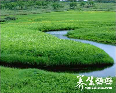 中国草原的世界之最(2)