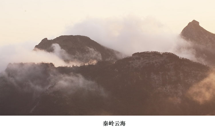 秦岭光头山(1)