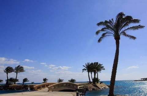 埃及红海自驾游 体验丰富自然人文美景(1)