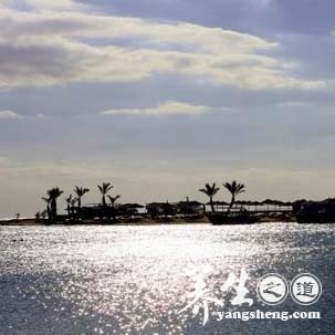 埃及红海自驾游 体验丰富自然人文美景(4)