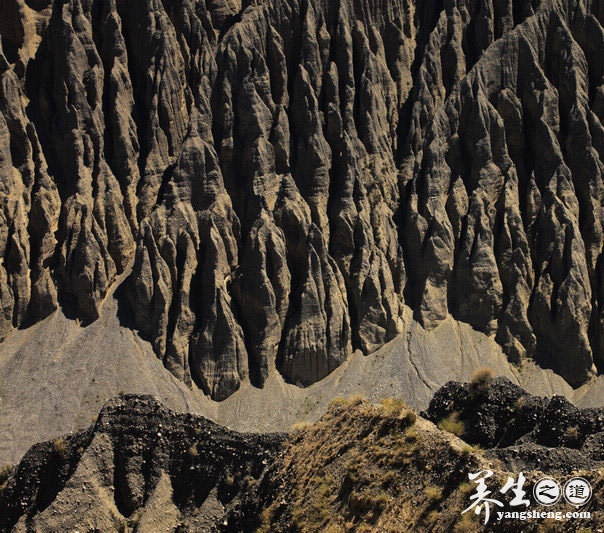 穿越沟壑纵横的萨拉乌苏大峡谷 见证岁月的沧桑(10)
