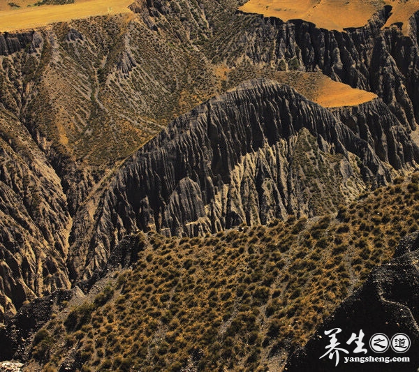 穿越沟壑纵横的萨拉乌苏大峡谷 见证岁月的沧桑(9)