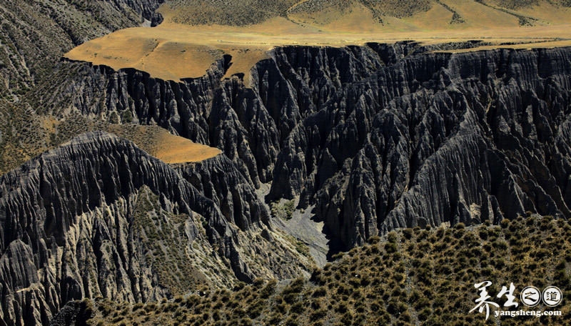 穿越沟壑纵横的萨拉乌苏大峡谷 见证岁月的沧桑(5)
