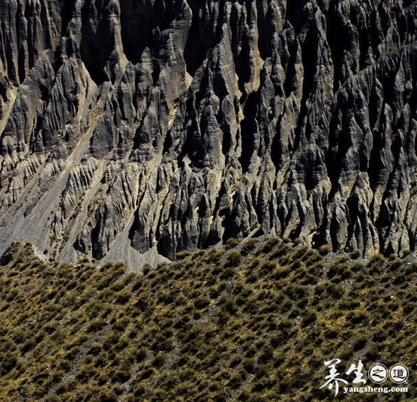 穿越沟壑纵横的萨拉乌苏大峡谷 见证岁月的沧桑(11)