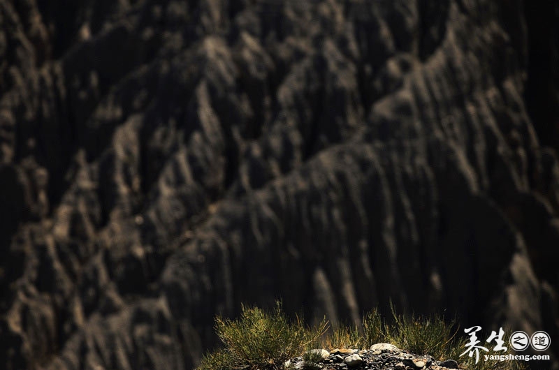穿越沟壑纵横的萨拉乌苏大峡谷 见证岁月的沧桑(2)