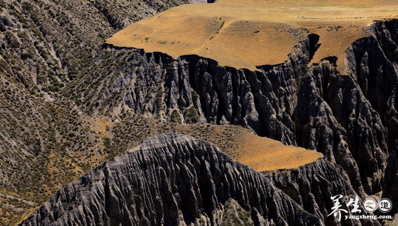 穿越沟壑纵横的萨拉乌苏大峡谷 见证岁月的沧桑(7)