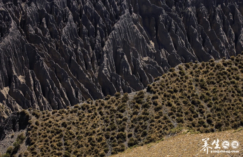穿越沟壑纵横的萨拉乌苏大峡谷 见证岁月的沧桑(4)