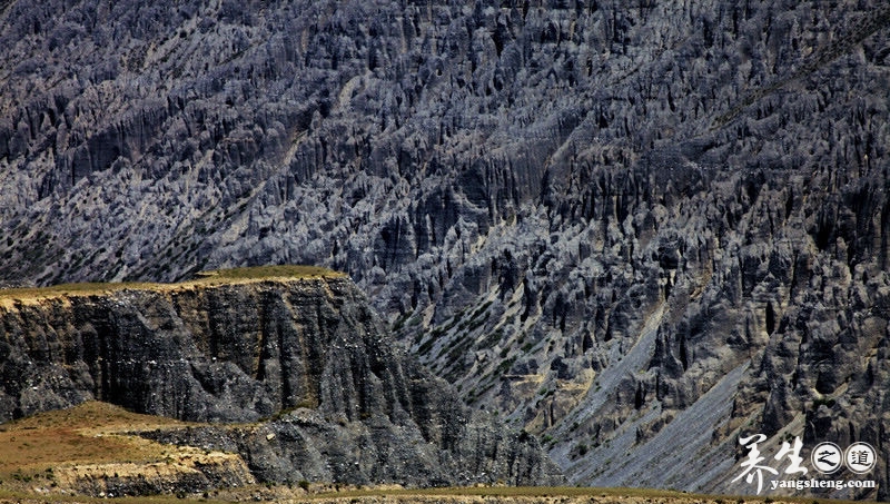 穿越沟壑纵横的萨拉乌苏大峡谷 见证岁月的沧桑(3)