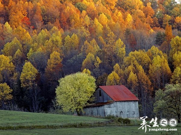 让心灵去旅行 到美国看绝色秋景(6)