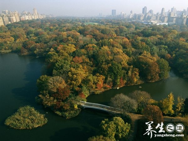 让心灵去旅行 到美国看绝色秋景(5)