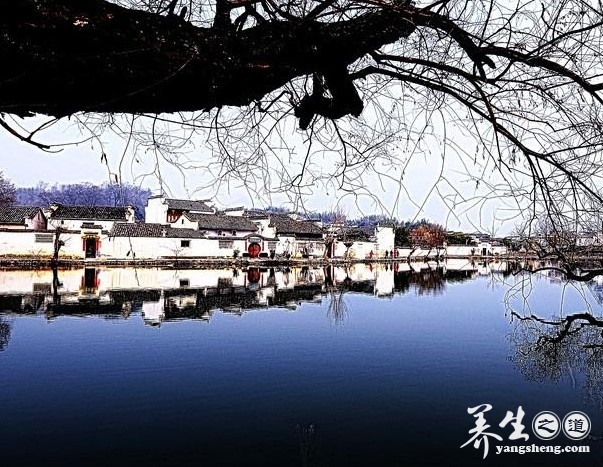世界文化遗产 安徽宏村的绝美景色(2)