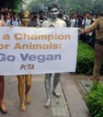 血浴抗议动物化妆品