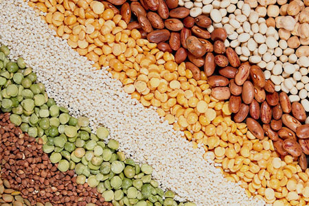 豆类富含钙质的食物明目