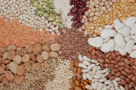 豆类富含钙质的食物明目