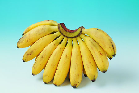 排毒养颜效果很好的香蕉