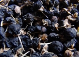 黑枸杞怎么吃最有营养？黑枸杞泡水什么颜色？