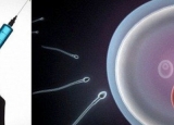 新型男性避孕药诞生 作用阻隔精子一针管好几年