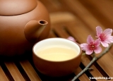 菊花茶喝多会反酸 春季胃不好少喝6种茶