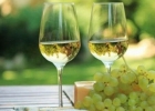 白葡萄酒功效 常喝可以长寿