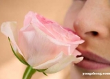 玫瑰花香竟能增强记忆 远离健忘只需六招