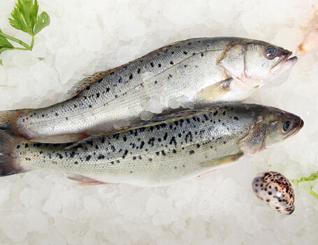 鱼类营养 常吃三类鱼产品补肝益肾